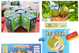 Provincia vietnamita de Quang Ninh promueve transformación digital en agricultura