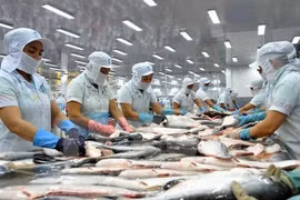 Aumentan exportaciones de pescado Tra vietnamita a Europa