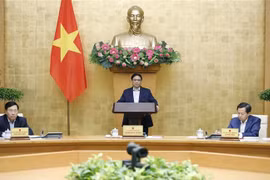 Premier vietnamita preside reunión gubernamental de noviembre 