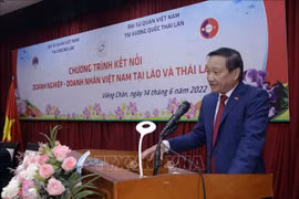 Foro en Vientiane conecta a empresas vietnamitas en Laos y Tailandia