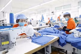 Ciudad Ho Chi Minh atrae 3,94 mil millones de dólares en 2022