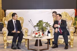 Abogan por agilizar lazos entre auditorías estatales de Vietnam y Laos