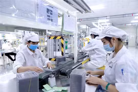 Vietnam aprueba programa de asistencia al desarrollo sostenible de empresas privadas
