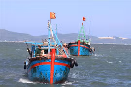 Provincia vietnamita de Phu Yen se esfuerza por prevenir pesca ilegal