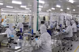 Vietnam introduce ambiente de negocios en prefectura japonesa