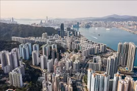Consulado General de Vietnam en Hong Kong organiza actividades de conexión y cooperación 