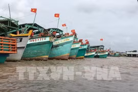 Aumentan conciencia de pescadores sobre pesca ilegal en provincia vietnamita
