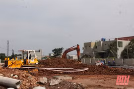 Aceleran progreso de inversión en Zona Económica de Nghi Son 