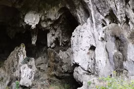 Pagoda de Hang Uc: valiosa reliquia de provincia vietnamita
