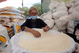 Exportaciones de arroz de Tailandia prevén superar ocho millones de toneladas