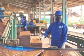 Provincia vietnamita de Quang Ninh por controlar COVID-19 para la recuperación económica