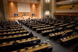 Vietnam participa en sesión 49 del Consejo de Derechos Humanos de la ONU
