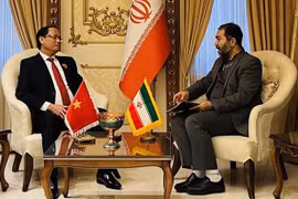 Vicepresidente de Asamblea Nacional de Vietnam trabaja con líderes iraníes 