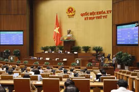 Parlamento de Vietnam debate proyecto de Ley de Tierras