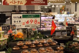 Existe gran espacio para la exportación de productos agrícolas vietnamitas a Japón