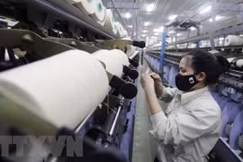 Economía vietnamita mantiene estable este año, califica experto ruso