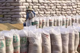 Nuevo paso para llevar marca de arroz vietnamita al mercado mundial