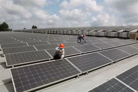 Grupo tailandés adquiere otras dos plantas solares de Vietnam