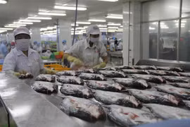 Bancos extranjeros pronostican progreso económico positivo de Vietnam en 2022