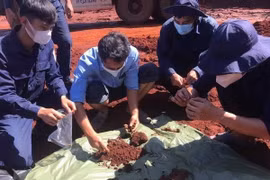  Buscan repatriar mártires vietnamitas fallecidos en Camboya
