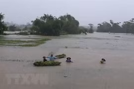 Pronostican lluvias intensas en región montañosa norteña de Vietnam 