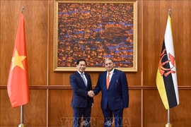 Efectúan reunión del Comité Mixto de Cooperación Bilateral Vietnam-Brunei