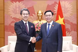 Dirigente parlamentario vietnamita recibe a presidente del Consejo Administrativo de JBIC