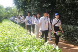 Jóvenes vietnamitas en ultramar: embajadores para impulsar lazos con otros países
