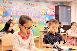 Honrarán el idioma vietnamita cada 8 de septiembre