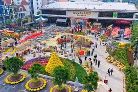 Ciudad Ho Chi Minh abre destinos turísticos con motivo del Año Nuevo Lunar