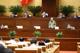 Ministro de Seguridad Pública rinde cuenta ante Parlamento de Vietnam 