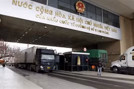 Exporta Vietnam casi 300 toneladas de productos agrícolas a China en tres días del Año Lunar