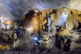 Phong Nha-Ke Bang por convertirse en centro de conservación de biodiversidad del centro de Vietnam