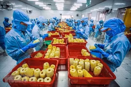 Estados Unidos, mayor mercado receptor de productos agrícolas a Vietnam