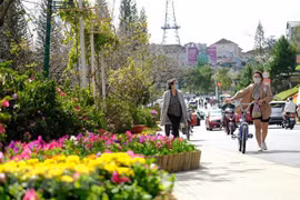 Ofrecen varios tours en ocasión del Festival de Flores de Da Lat 2022