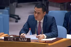 Vietnam dispuesto a participar en los esfuerzos humanitarios en Ucrania
