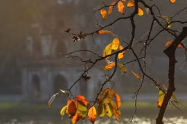 Hanoi entre destinos más bellos en mundo en otoño boreal, según CNN Travel