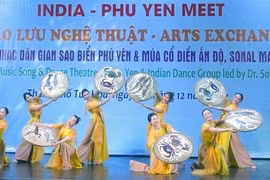 Celebran programa de intercambio artístico Vietnam-India