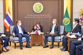 Cooperación agrícola brinda beneficios a Vietnam y Tailandia 