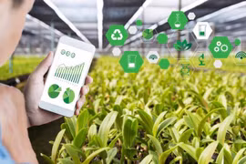 Transformación digital ayuda a desarrollar agricultura sostenible en Vietnam
