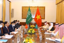 Vietnam, uno de los socios importantes en política exterior de Arabia Saudita