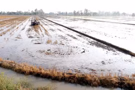 Inundaciones del delta del Mekong estarán por debajo de lo normal este año, según pronóstico