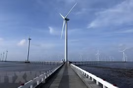 Destacan oportunidad de cooperación Vietnam-Estados Unidos en energía