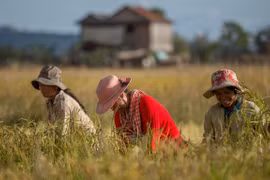 Ventas de Camboya a los países del acuerdo RCEP registran aumento en el primer semestre