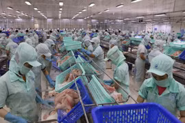 Estados Unidos reconoce calidad de pescado vietnamita Tra