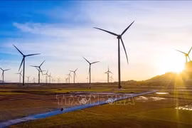 Aprecia ONU acción climática eficiente de Vietnam