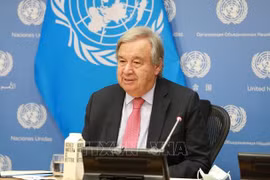  Vietnam y ONU fomentan relaciones de asociación 