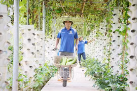 Bac Giang aumenta el valor de la producción agrícola