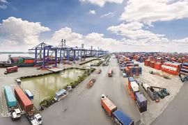Crece intercambio comercial entre Ciudad Ho Chi Minh y Argentina 