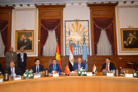 Hanoi y El Cairo buscan fortalecer cooperación integral